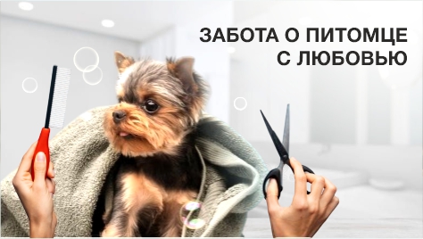 Забота о питомце