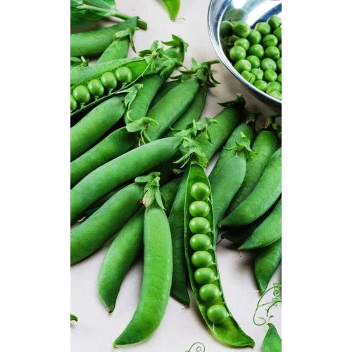 Семена Горох Воронежский Зеленый (Марс) 8гр Б/П