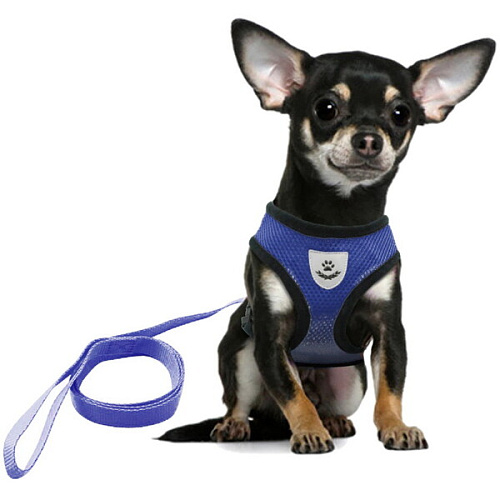Шлейка с поводком 118см Sweet puppy размер L, цвет голубой Ultramarine_4