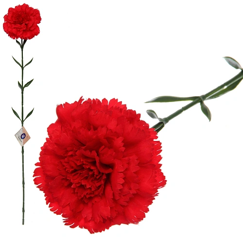 Цветок искусственный "Гвоздика" 68см красная